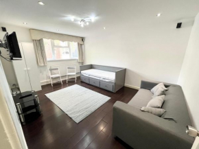 Large apt close to central LDN